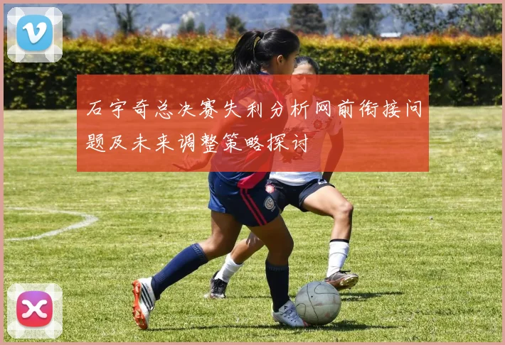 石宇奇总决赛失利分析网前衔接问题及未来调整策略探讨